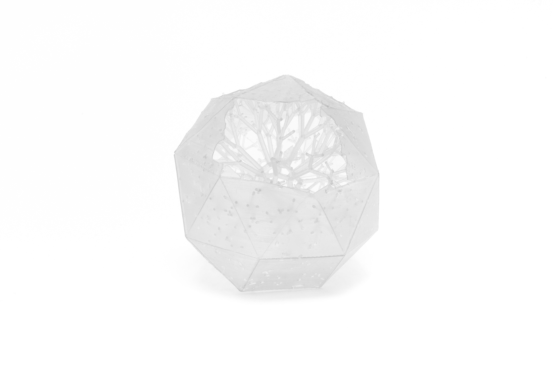 A clear resin sculpture of a spherical, tree-like structure.