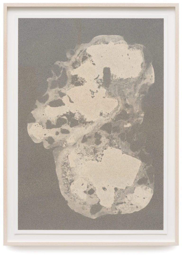 A framed screen print with sand on paper depicts a grain-like form against a textured gray background.