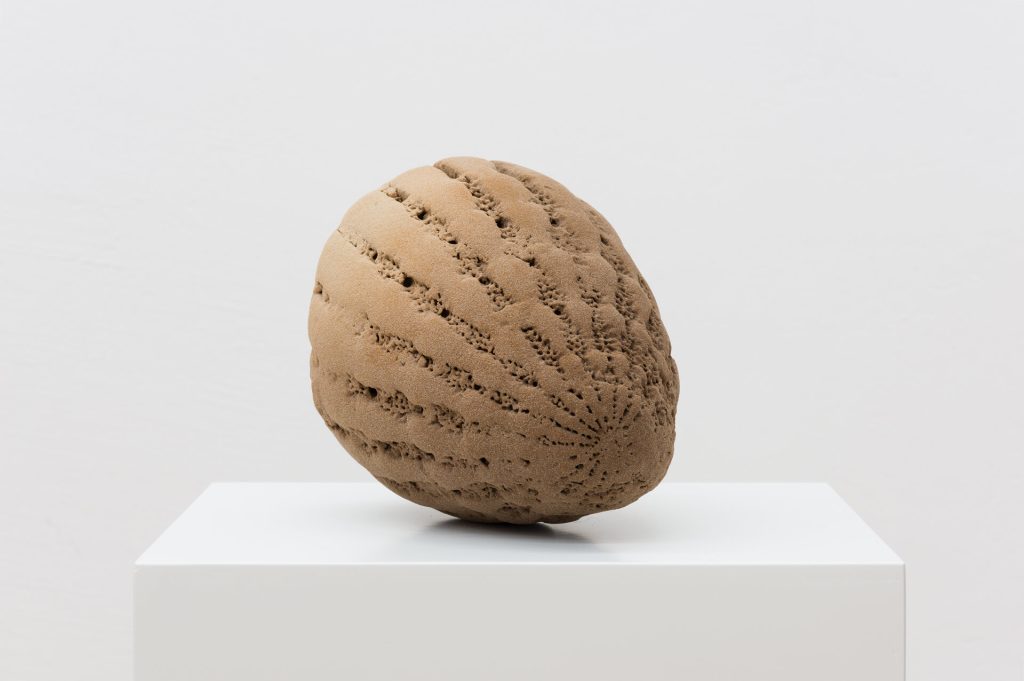 A 3D-printed sand sculpture with a porous, ribbed surface sits on a white plinth.