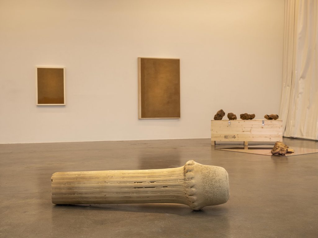 A 3D-printed sand sculpture lies on the floor with sand paintings on the wall.