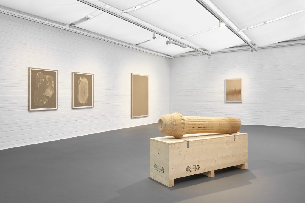 A 3d printed sand sculpture rests on a wooden crate in a gallery with screen prints on the wall.