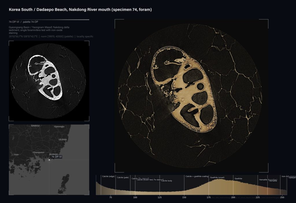 A foraminifera test with iron-oxide staining sits on cracked sediment next to a grayscale scan and map.