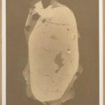 A framed screen print shows a large, pale, irregular organic form with dark spots against a brown background.
