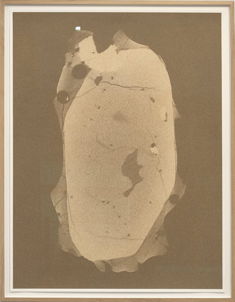 A framed screen print shows a large, pale, irregular organic form with dark spots against a brown background.