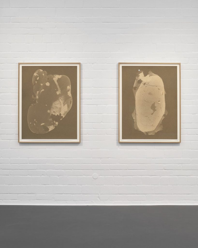 Two framed screenprints of sand grain cross-sections hang side-by-side on a white brick wall.