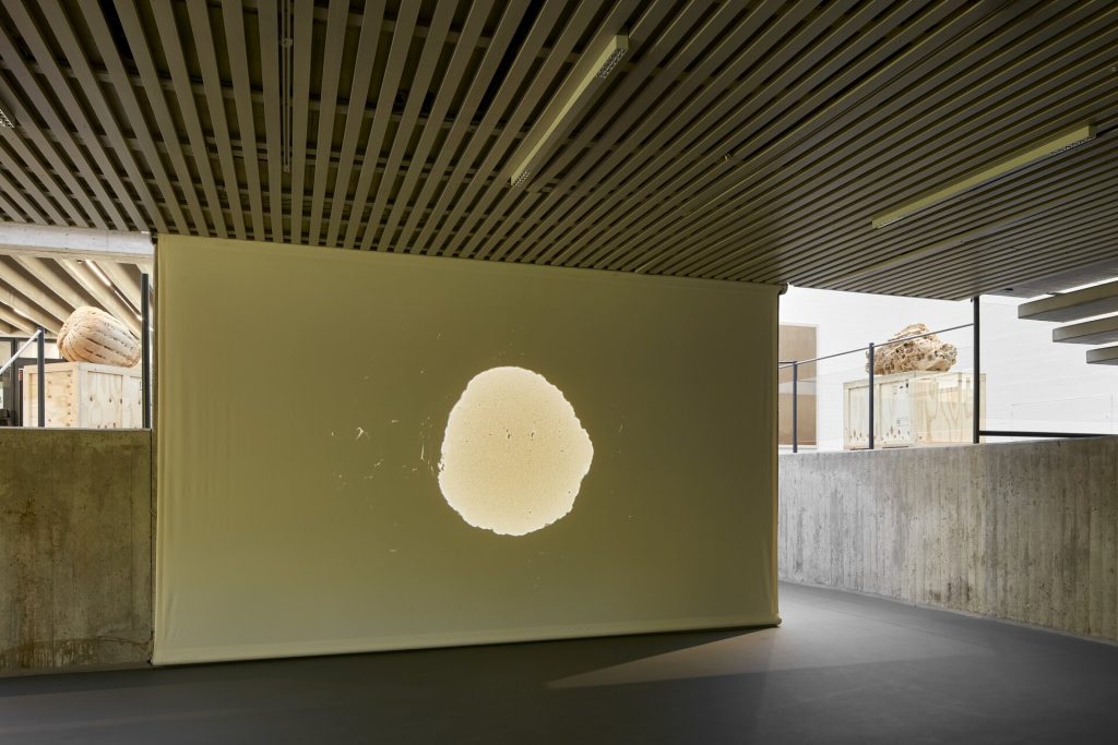 A screen print of a sand grain sits on a yellow wall, flanked by two 3d printed sand sculptures on wooden crates.