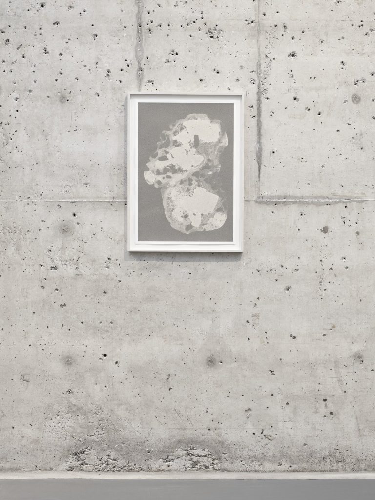 A white-framed screen print of a grain cross-section hangs on a raw concrete wall.