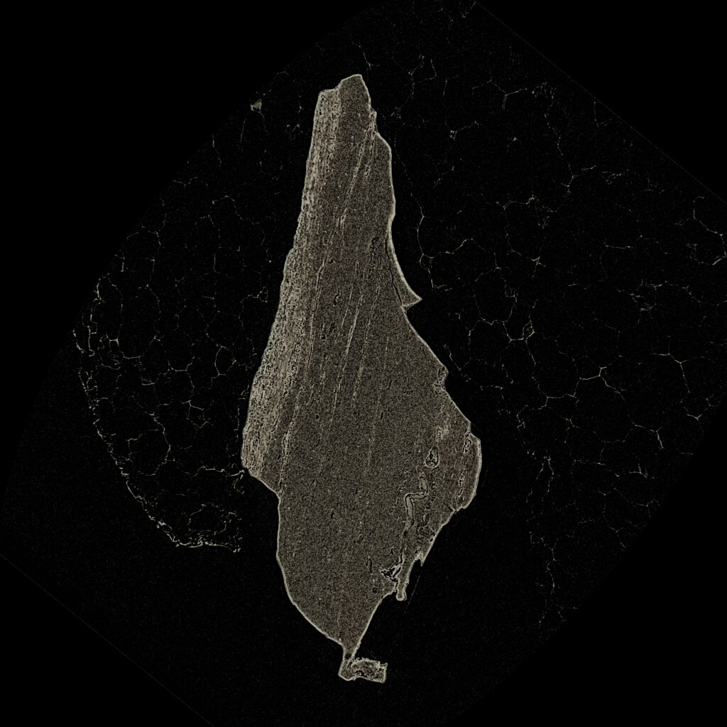 A nano-CT cross-section shows a sand grain with internal voids against a black background.