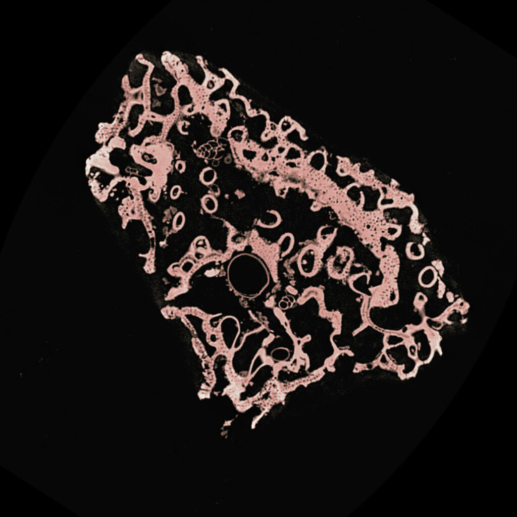 A pink cross-section of a sand grain shows internal voids and channels on a black background.