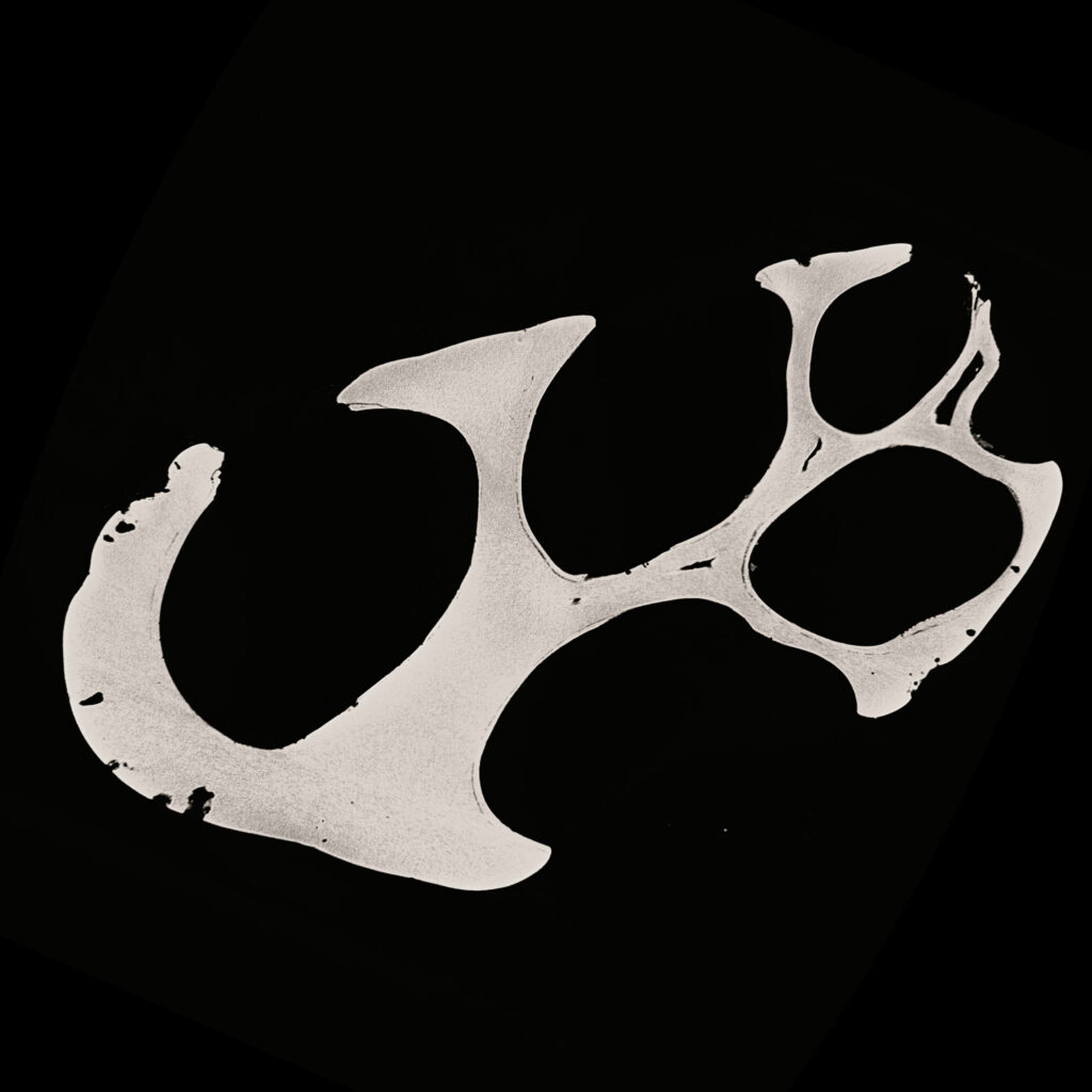 A white, branching cross-section of a sand grain sits on a black background.