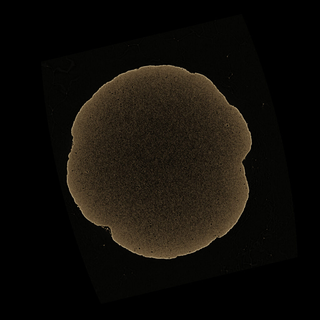 A tan, porous cross-section of a sand grain sits on a black background.